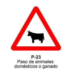 P-23
