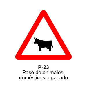P-23