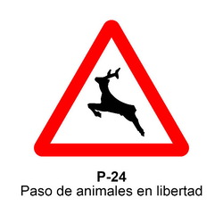 P-24