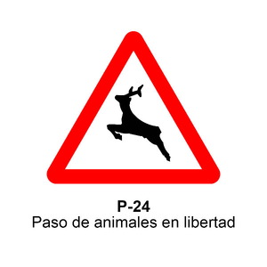 P-24
