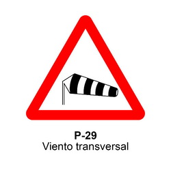 P-29