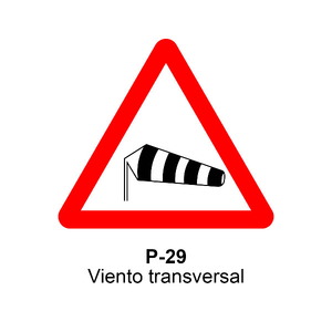 P-29