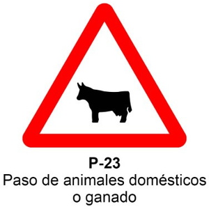 P-23 Paso de animales domésticos