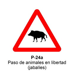 P-24a Paso de animales en libertad ( jabalíes ) <p class="new_señal"> NUEVA </p> Señales DEFINITIVAS (fondo blanco)