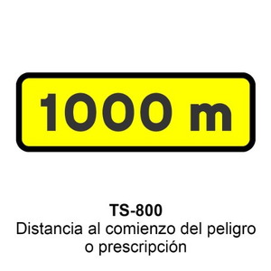 TS-800