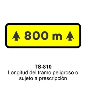 TS-810